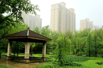 滁河湾湿地公园