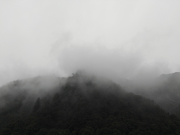 太白山雾