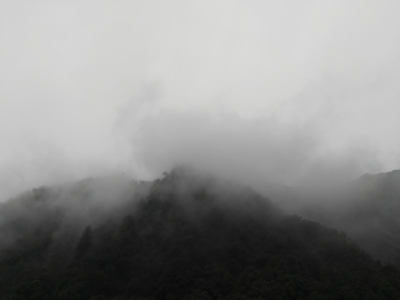 太白山雾