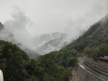 太白山雾