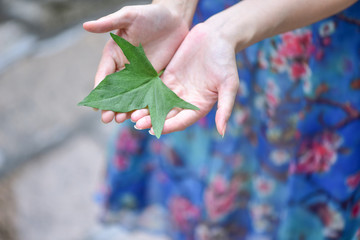 女性手捧着叶子