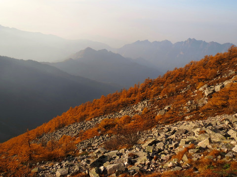 秦岭主峰太白山