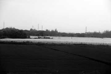 大棚蔬菜基地