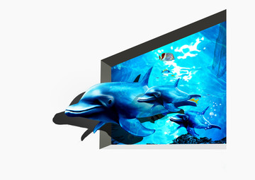 3D壁画海豚