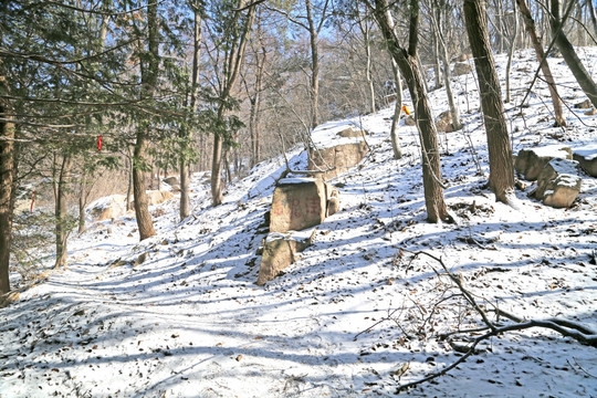 青岛崂山雾凇