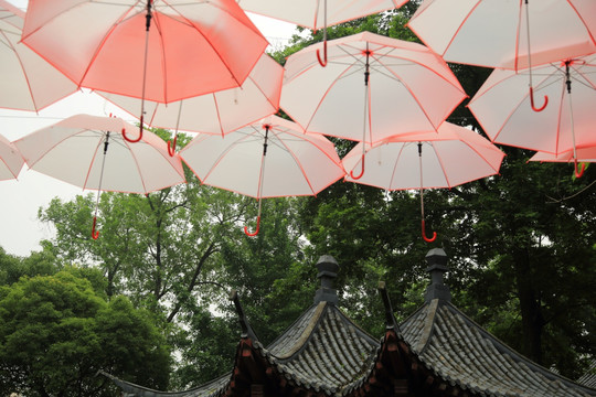 雨伞