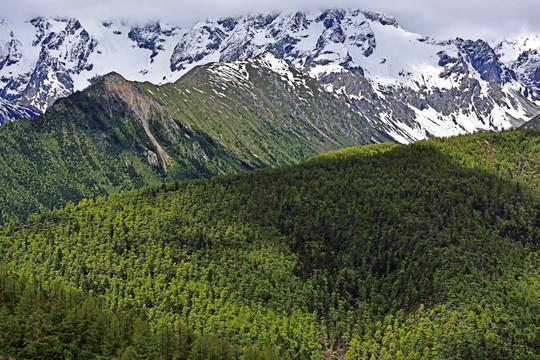 高山