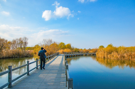 东营黄河口湿地