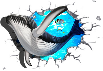 3D鲸鱼壁画