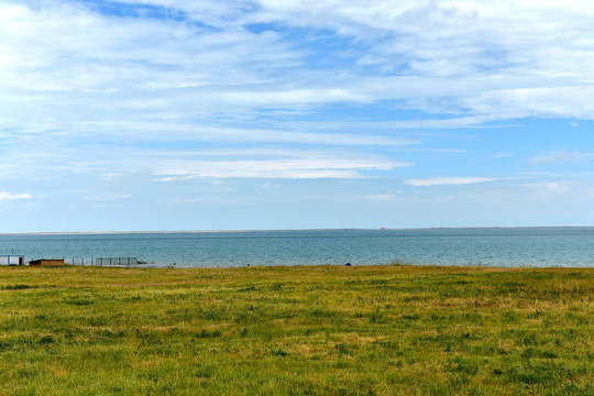 青海湖风光