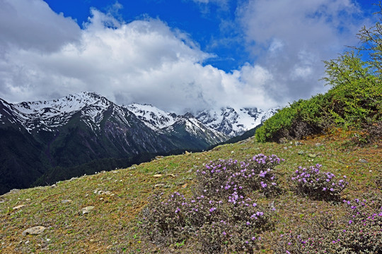 高山 群山 山峰 山脉