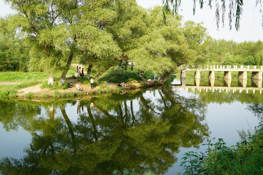 沈阳蒲河湿地 河边