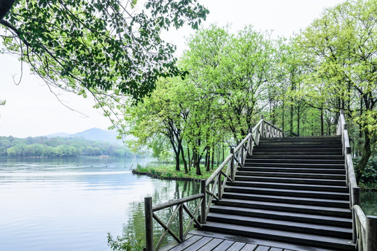 西湖晨景