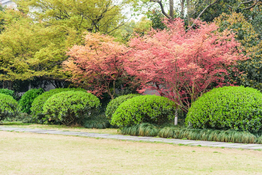 园林景观