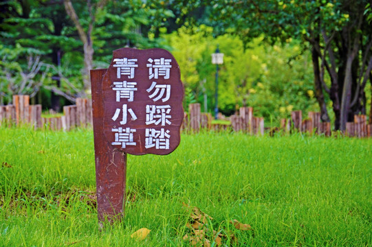 保护小草标志牌