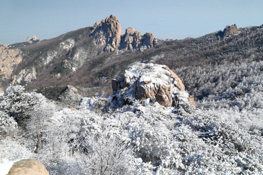 青岛崂山雾凇