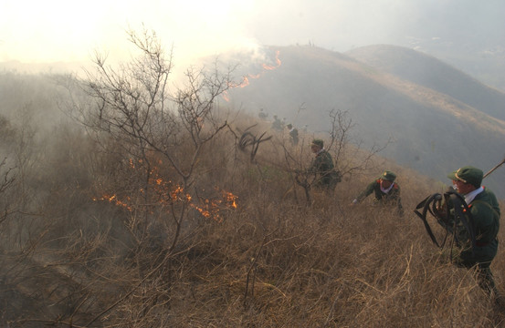 武警战士扑救山火老照片