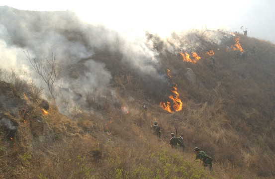 武警战士扑救山火老照片