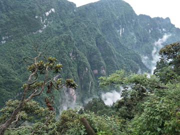 山峦景色