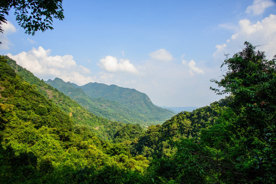 阳光绿野青山