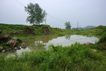 阴雨绵绵的乡村田野池塘