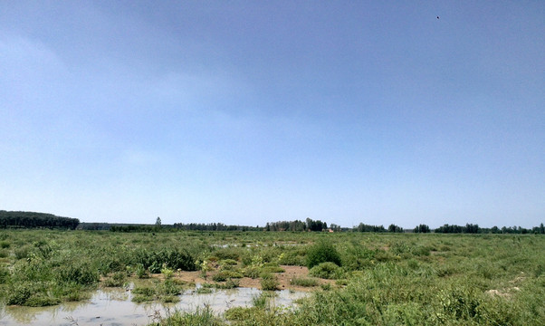 湛蓝天空