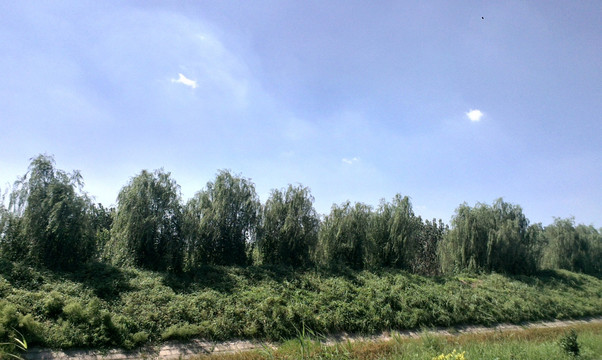湛蓝的天空