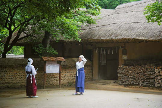 韩国传统家庭庭院小景