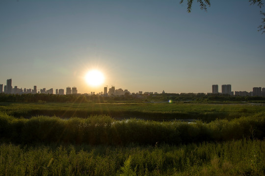 绿色城市外景风光