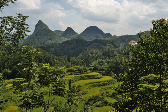 田园 大山 鄂西风光