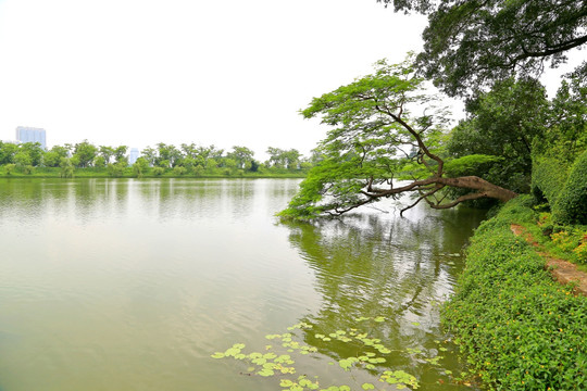 肇庆 七星岩 风景