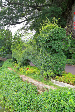 植物 雕塑 龙