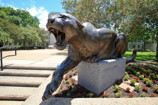 休斯顿大学校园雕塑