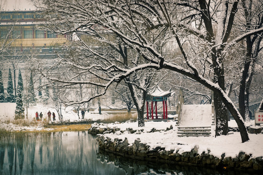 风景画 雪景公园