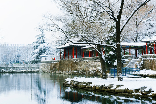 风景画 公园雪景