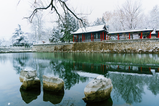 风景画 公园雪景