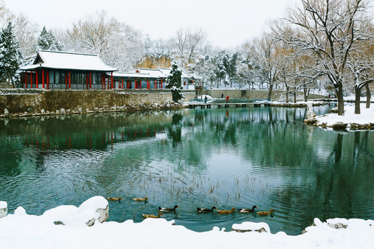 湖景冬天