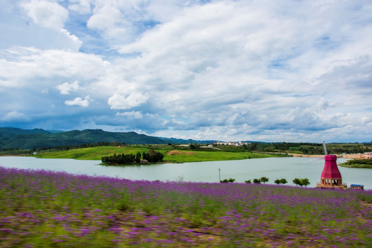 风车 花海