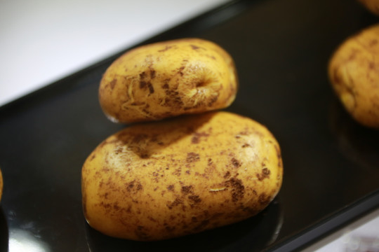 土豆造型的包子