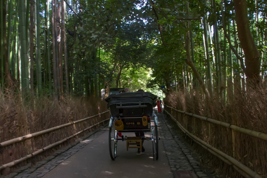 岚山竹林中的黄包车