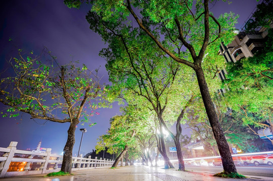 惠州西湖路边夜景景色