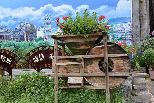 花坛景观