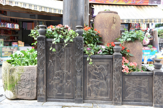 环境园艺