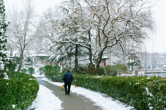 雪景老人和狗