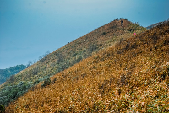 山岭秋色