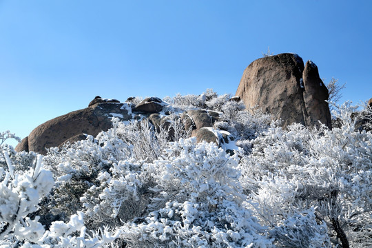 青岛崂山雾凇