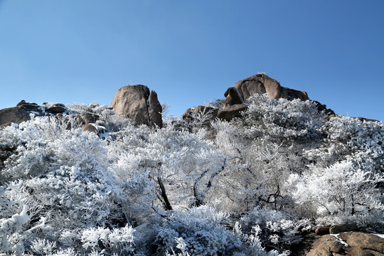 青岛崂山雾凇