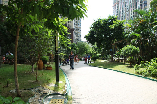 小区绿化景观