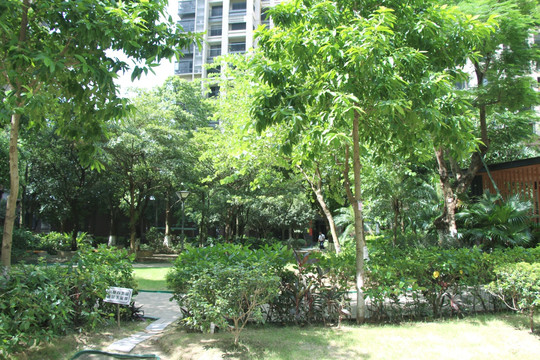小区景色