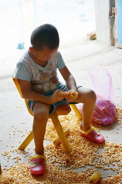 小孩搓玉米粒